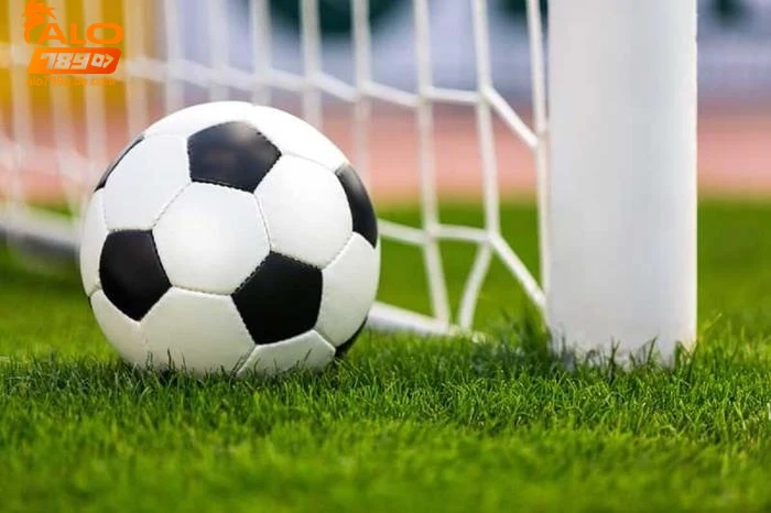 Bóng cỏ là gì? Giải thích chi tiết về ngành cá cược bóng đá 8 Định nghĩa cơ bản về bóng cỏ