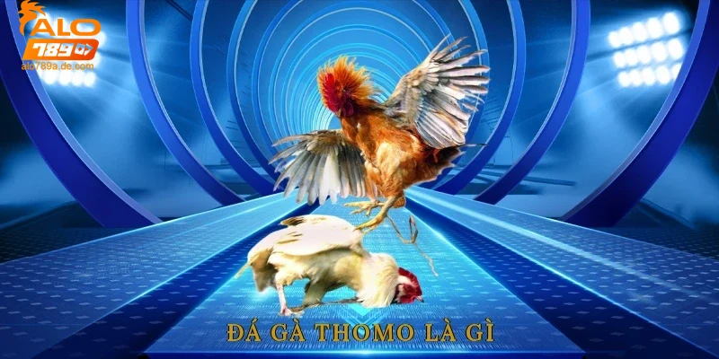 Đá gà thomo – Nền tảng uy tín cho trải nghiệm đá gà hấp dẫn 10 Khái niệm và nguồn gốc đá gà thomo