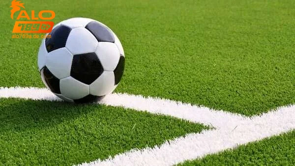 cac-hinh-thuc-va-cach-thuc-tham-gia-bong-co Các hình thức và cách thức tham gia bóng cỏ