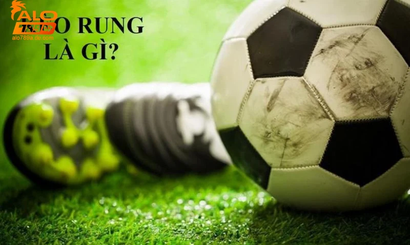 huong-dan-choi-va-luu-y-khi-tham-gia-keo-rung Hướng dẫn chơi và lưu ý khi tham gia kèo rung