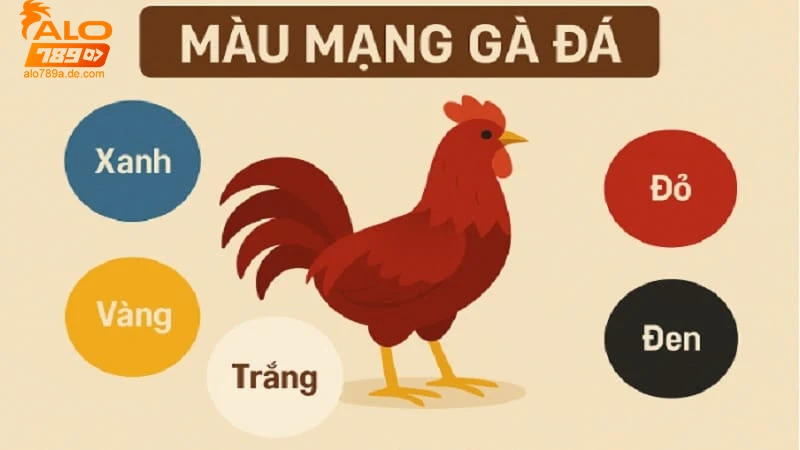 ung-dung-mau-mang-ga-da-trong-ca-cuoc-tai-alo789 Ứng dụng màu mạng gà đá trong cá cược tại Alo789