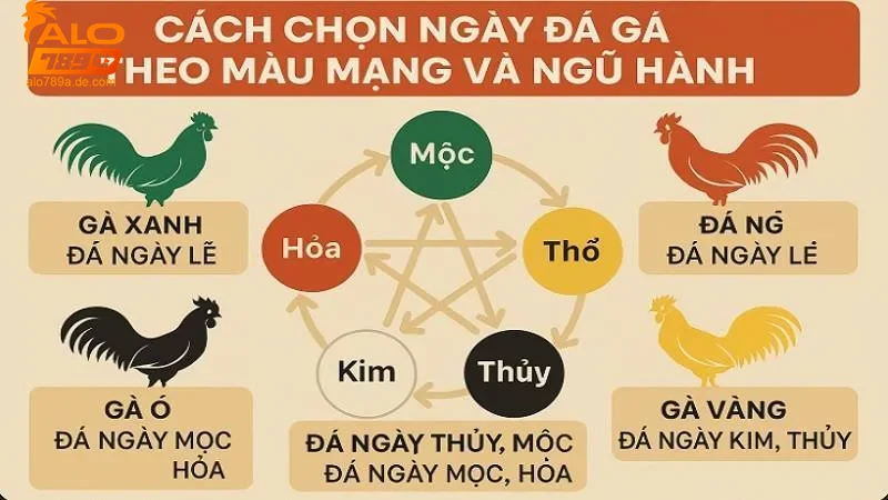 Khám phá ý nghĩa và ứng dụng màu mạng gà đá hiệu quả 7 Ý nghĩa từng màu mạng trong gà đá