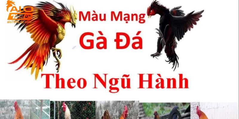 luu-y-quan-trong-khi-su-dung-mau-mang-ga-da-trong-ca-cuoc Lưu ý quan trọng khi sử dụng màu mạng gà đá trong cá cược